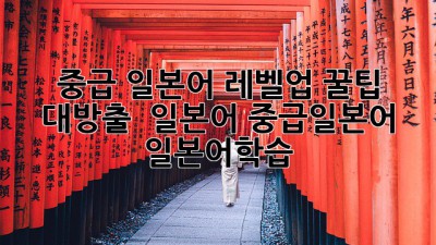 🚀 중급 일본어 레벨업! 꿀팁 대방출 🍯 #일본어 #중급일본어 #일본어학습