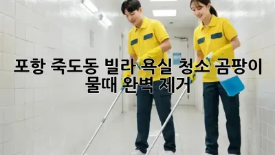 포항 죽도동 빌라 욕실 청소: 곰팡이, 물때 완벽 제거!